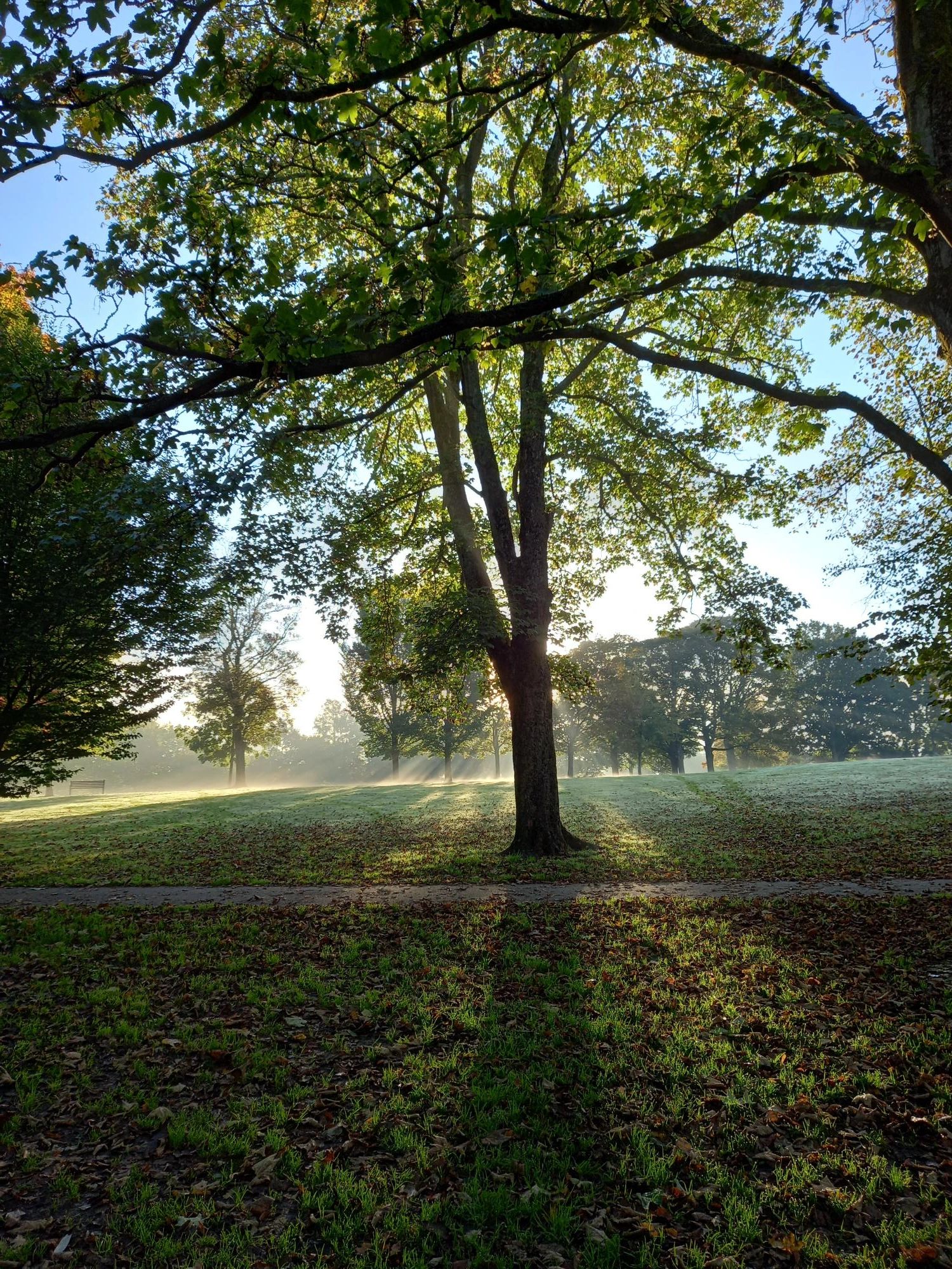 Victoria Park Park Ashford, England